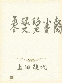 勇猛的小叔小说全文免费阅读