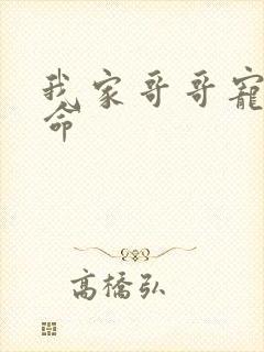 我家哥哥宠妹如命封面