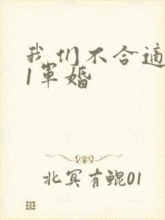 我们不合适1v1军婚