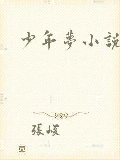 少年梦小说