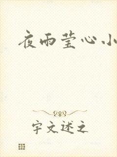 夜雨莹心小说