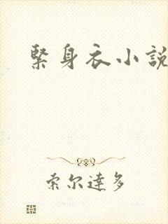 紧身衣小说