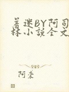 着迷BY阿司匹林小说全文免费阅读