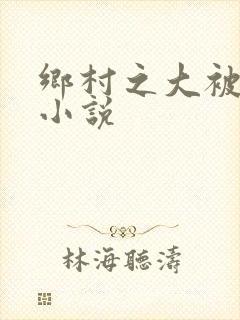 乡村之大被同眠小说