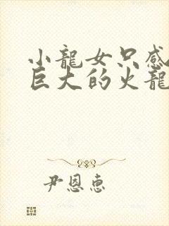 小龙女只感觉那巨大的火龙枪封面