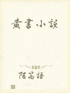 黄书小说封面