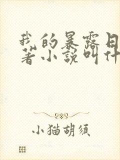 我的暴露日记原著小说叫什么