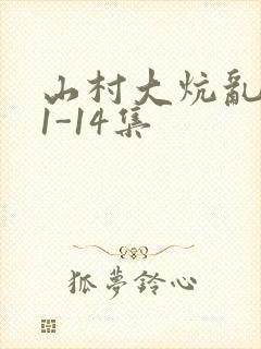 山村大炕乱肉续1-14集封面