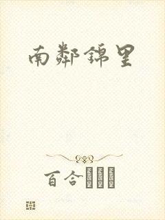 南邻锦里封面