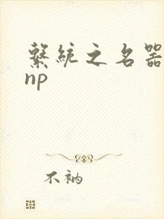 系统之名器攻略np