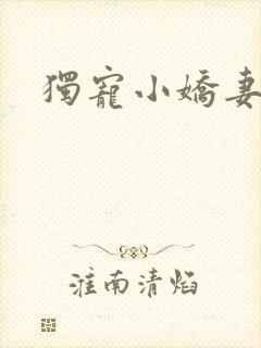 独宠小娇妻