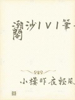 潮沙1∨1笔趣阁