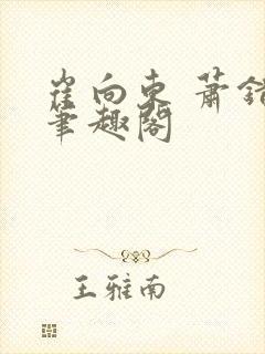 崔向东 萧错 笔趣阁封面