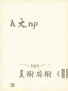 h文np封面