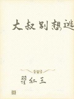 大叔别想逃