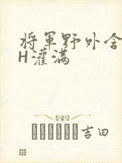 将军野外含公主H灌满封面