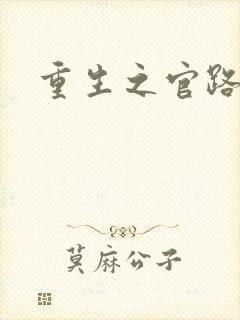 重生之官路风流