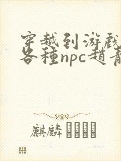 穿越到游戏里和各种npc赵青蔓封面