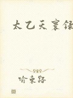 太乙天寰录封面
