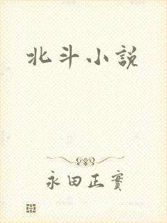 北斗小说