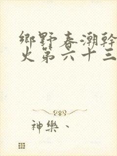 乡野春潮干柴烈火第六十三章封面