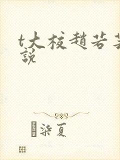 t大校赵若芸小说