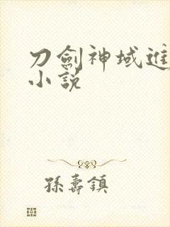 刀剑神域进击篇小说封面