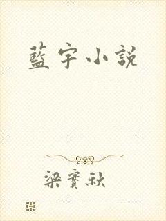 蓝宇小说