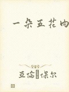 一朵五花肉封面