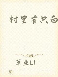 村里有只白骨精封面