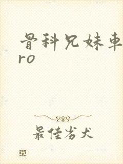 骨科兄妹车多pro