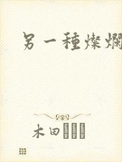 另一种灿烂生活