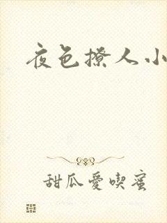 夜色撩人小说