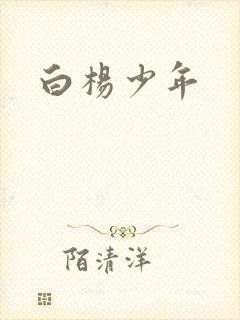 白杨少年封面
