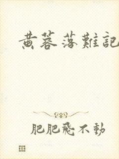 黄蓉落难记阅读封面