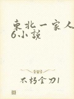 东北一家人1一6小说