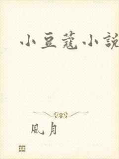 小豆蔻小说