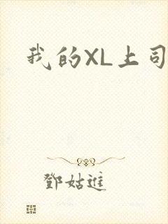 我的XL上司封面