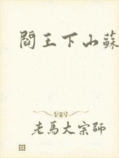 阎王下山苏文封面