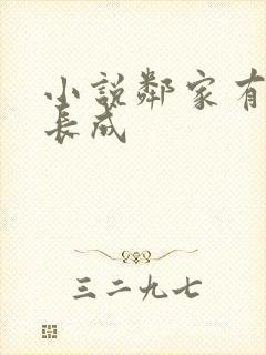 小说邻家有女初长成封面