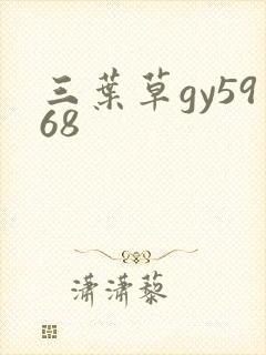 三叶草gy5968