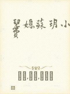 儿媳苏玥小说免费封面