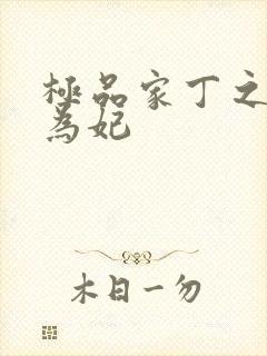 极品家丁之册母为妃