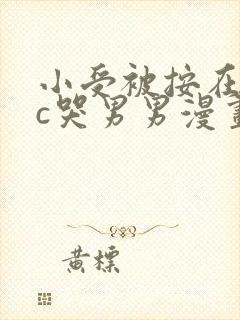 小受被按在墙上c哭男男漫画封面