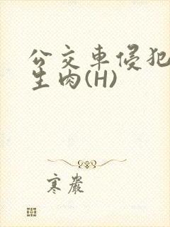 公交车侵犯小男生肉(H)