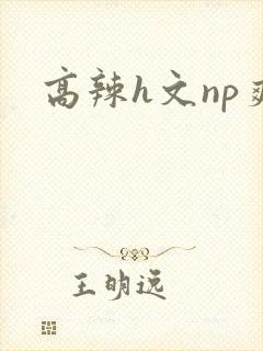 高辣h文np爽