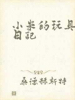 小米的玩具羞辱日记封面