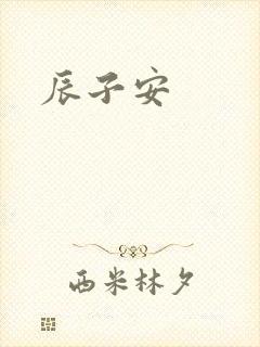 辰子安封面