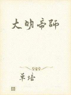 大明帝师封面