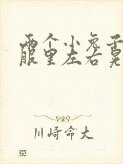 两个小兔子在衣服里左右晃